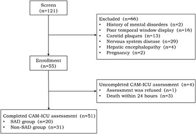 Relationship Between Cerebral Hemodynamics, Tissue Oxygen Saturation, and Delirium in Patients With Septic Shock: A Pilot Observational Cohort Study